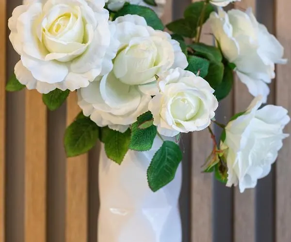 Lesne Tarasy By Renters Dziwnówek